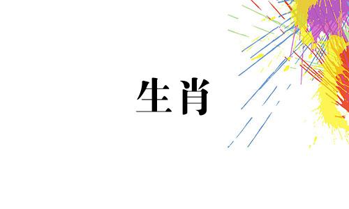 兔妈妈和鸡爸爸不属于孩子