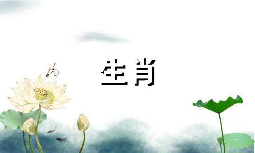 兔年出生的男士2022运势好，工作顺利，亲朋好友帮忙