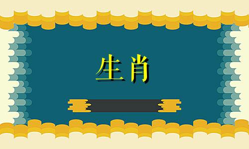 兔妈妈和羊爸爸不符合什么属相?