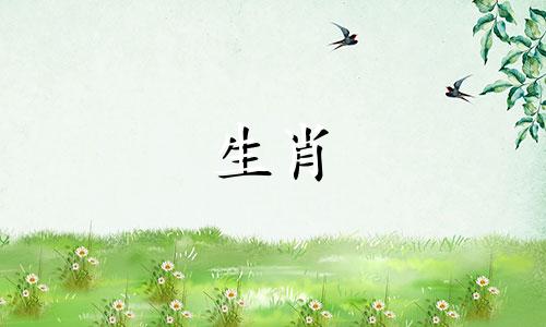 兔妈妈和猪爸爸不符合什么属相?