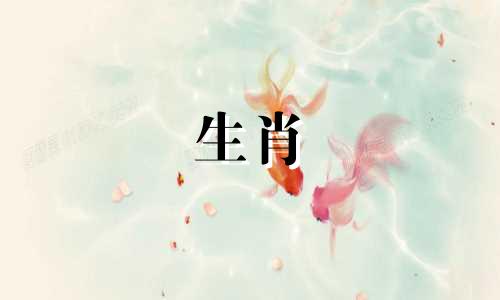 兔妈妈和什么属相的孩子互相较劲