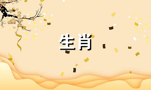 兔子父母和什么属相的孩子互相较真