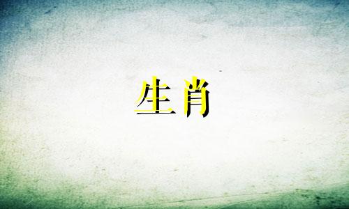 生肖蛇男在床上的表现