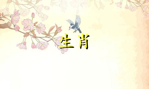 生肖母马与生肖猪公配