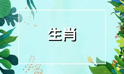 2022属兔财位置，东南西南丰收财