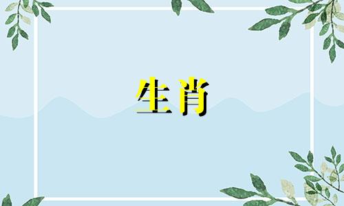 兔人的事业并不理想，在考验中成长