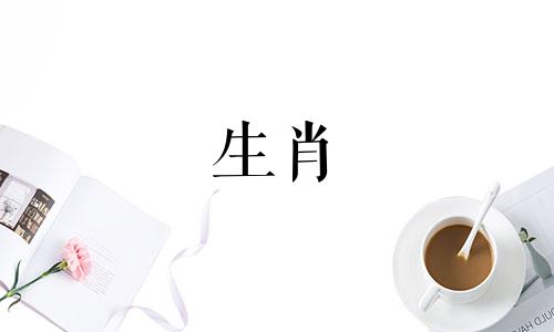 1951年出生的兔子,有了成功的孩子,过着悠闲的生活,他的生活是怎样的?