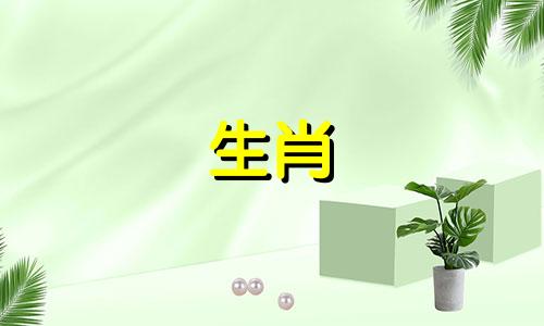 生肖马与生肖牛是否相容