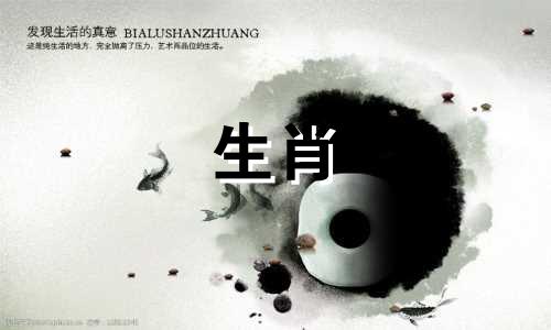 属兔的人2022年事业运，今年会释放能量，能大胆发挥才能