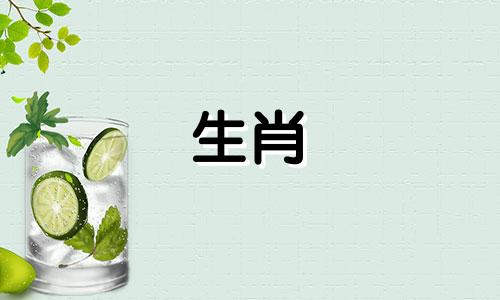 兔年出生的女人2022年财大气粗，技能高，不是有钱就是贵