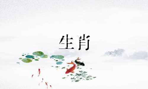 1999年出生的兔子身体好吗?他们的仕途很好，地位稳步上升