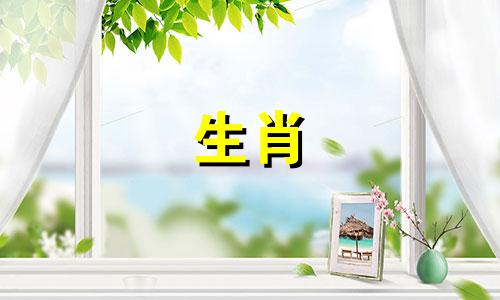 1987年丁卯的属兔人命运