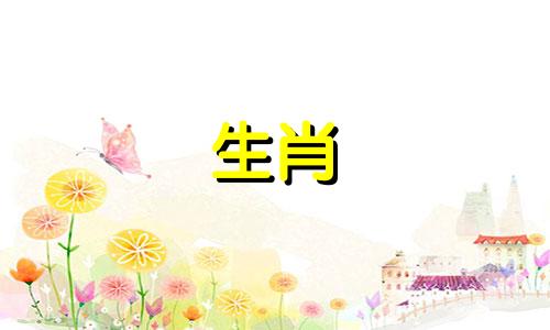 1963年出生的兔子的生活好不好,曲折,晚年稳定