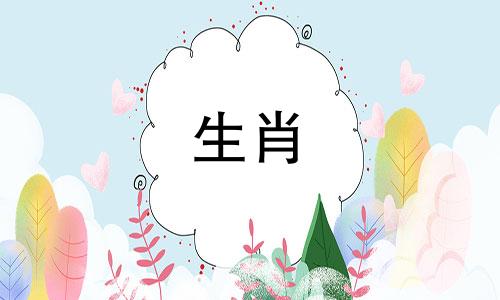 十二生肖鼠仔不主动的原因