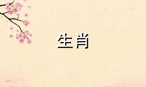 鸡和狗的婚姻是怎样的?