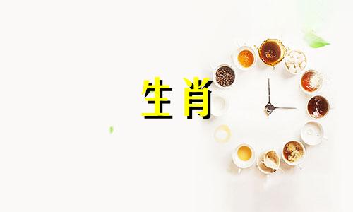 虎型父母最适合自己的孩子