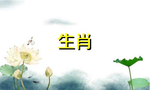 属龙女最适合的星座是什么?