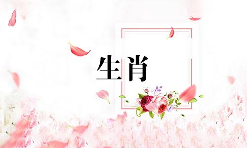 属虎什么时候出生最好?