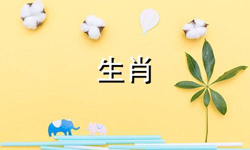 哪些月份最适合出生在虎年,立春之虎的威望更被提升