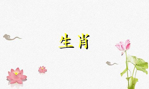 生肖属龙与生肖属龙的组合是否匹配?