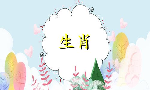 虎父母和孩子有什么对立的迹象