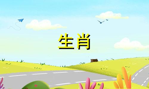 宋绍光分析2022年生肖虎事业运,吉星闪耀,霸道