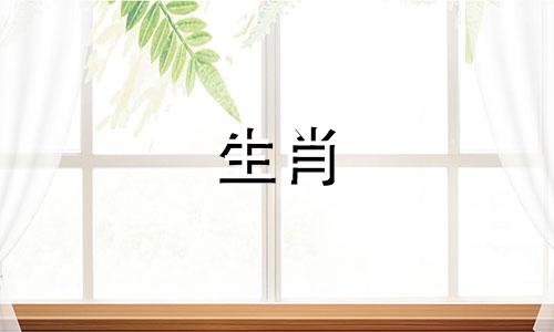 生肖属龙最忌讳的地板