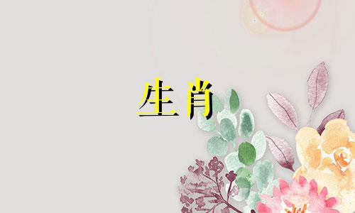 1962年属虎的生活怎么样?