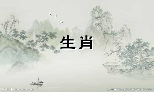 生肖牛与生肖兔是否兼容