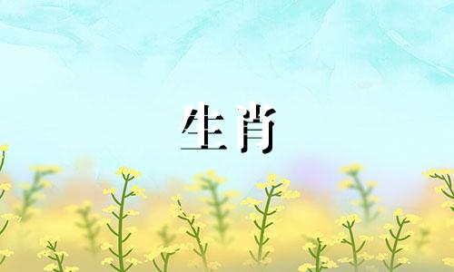 牛妈妈和猴爸爸反对什么兽象宝宝