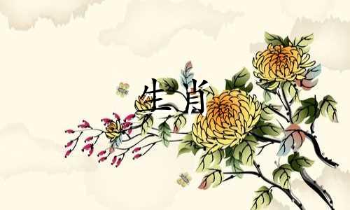 哪些属相最适合牛父母