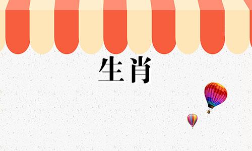 父母是兔子，孩子是属鼠