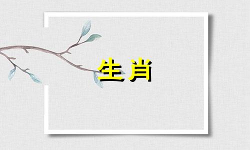 生肖猪与属龙是否相容