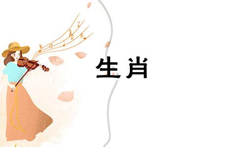 生肖虎与生肖猪是否相配