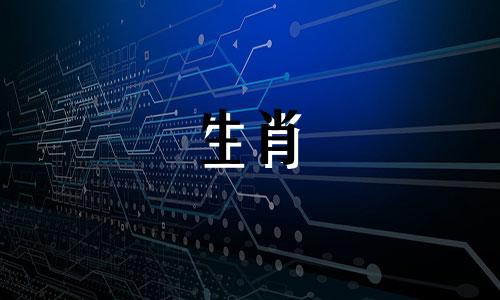 牛妈妈和狗爸爸反对什么兽象宝宝