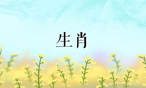 1949年出生的73岁的牛,2022年好运?