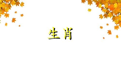 1973年出生的牛人生活如何，白手起家，晚年事业有成