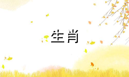 公猪与母属龙是否配对