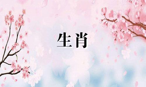 1961年丑陋路上的牛群生活如何?