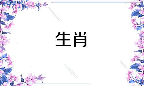 属虎和兔子之间有冲突吗?