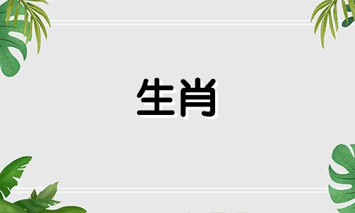 如何让一只羊和一只属鼠结婚