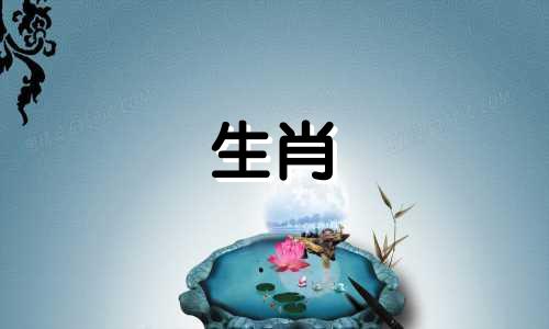 男马女猪适合，生肖男马女猪适合夫妻