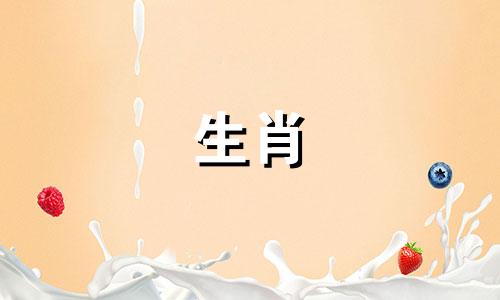 2022年属鼠人的职业生涯