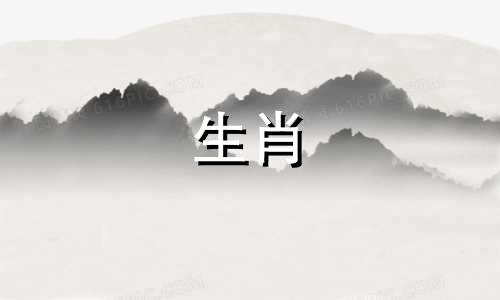 属虎和兔子是同属的吗?