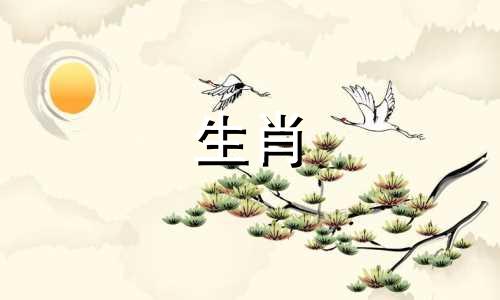 猪宝宝什么时候出生最好