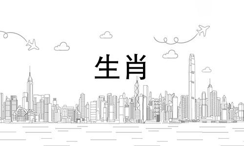 属龙盘兔是一流的婚姻吗?