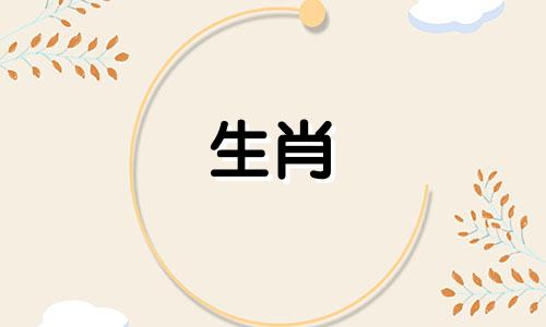 虎年:鼠女2022年的职业生涯