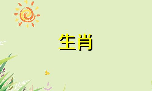 2019河海是猪2021年，您的运输依旧稳定