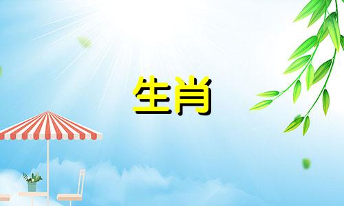 生肖马和生肖猪是否相配