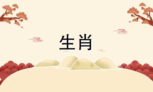 2008年出生的属鼠的生活是怎样的?